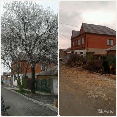 Спил Деревьев/Обрезка Веток/Уборка Участков в Ростове-на-Дону фото 9