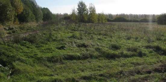 Продаю участок СХН 4,5 га в Кстове фото 3