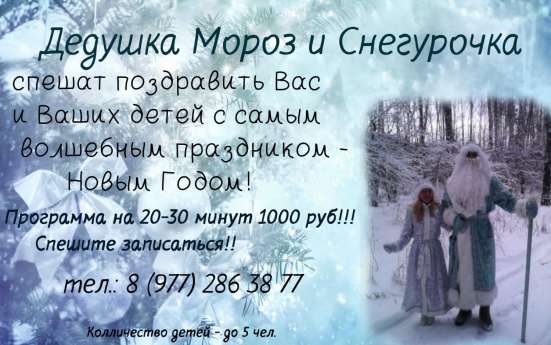 Дедушка Мороз и Снегурочка на дом