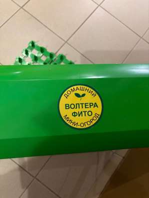 Домашний мини огород в Тюмени фото 5