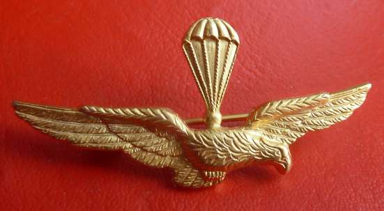 Италия знак Пилот десантного самолета ВВС 22х46 мм в Орле
