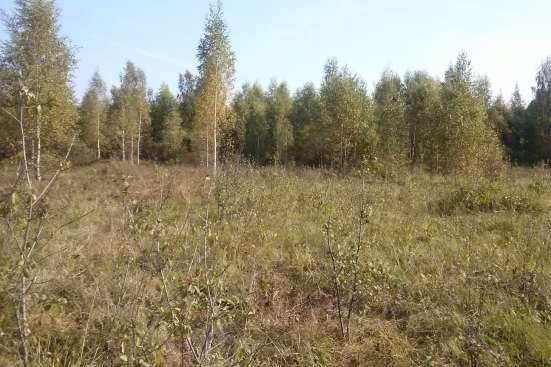 Земельный участок с/х в Ярославле фото 3