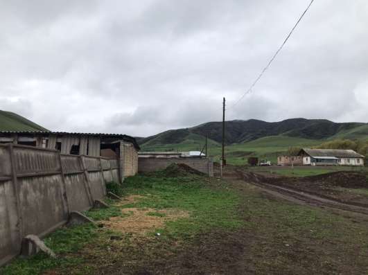 Продается Кошара — 2 сарая фото 10