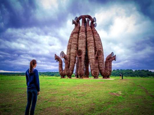 Земля в заповедных местах в Москве фото 8
