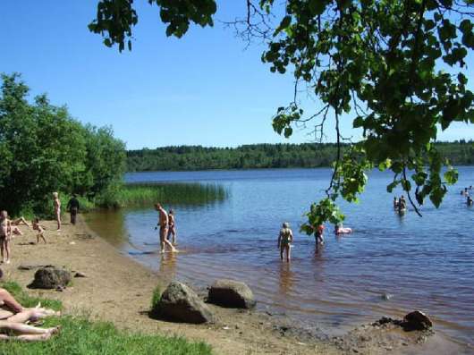 Участок у озера в Санкт-Петербурге фото 6