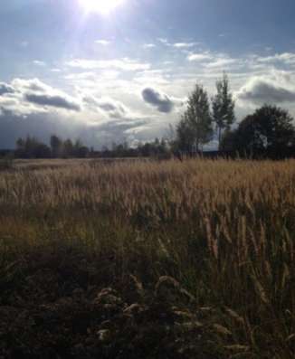 realty_mapper3.plot_in_locationИндивидуальное жилищное ст-во. Площадь 30.00 сот.Есть Электричество. в Павловском Посаде фото 5