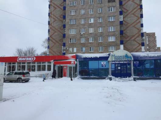 Помогите Коту Васе