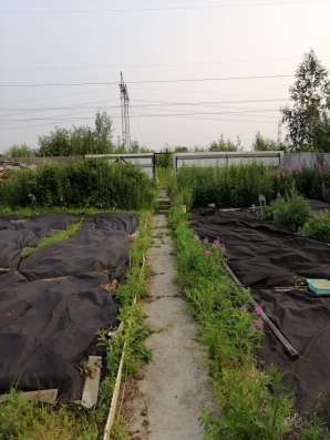 Продаетcя дом в Сургуте фото 5