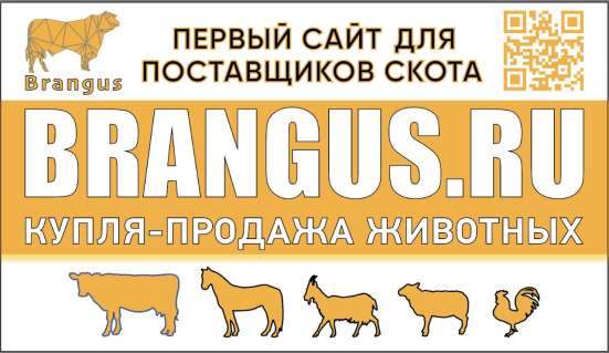 Купля продажа животных