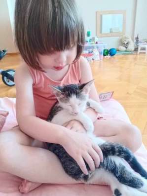 Котята в добрейшие руки! ❤️