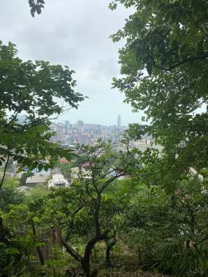 Земельный участок в Батуми в Москве фото 6