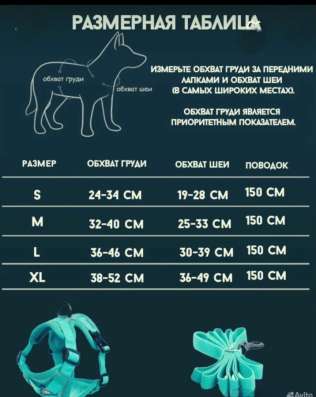 Шлейка для собак оптом в Челябинске фото 4