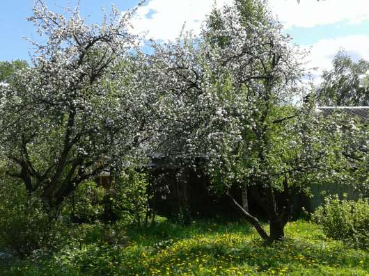 Продажа дома в Электростале