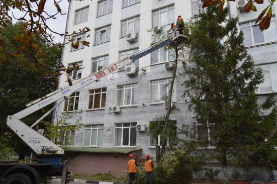 Спил деревьев, аварийных любой сложности в Белгороде