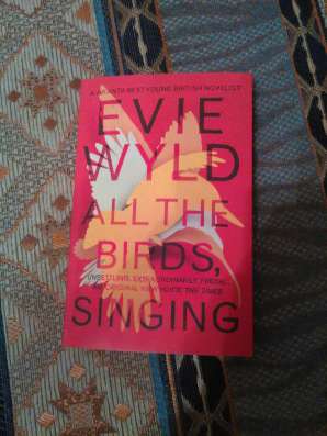 All the birds, singing
