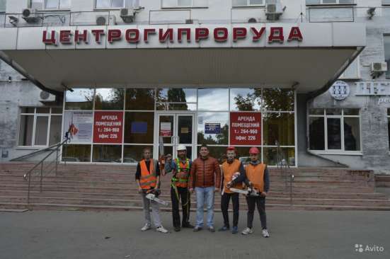 Удаление деревьев любой сложности